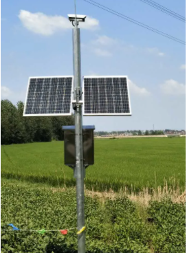 Zithini izibonelelo zeemveliso zoPhononongo lweSolar Panel?