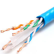 CAT6 Intambo